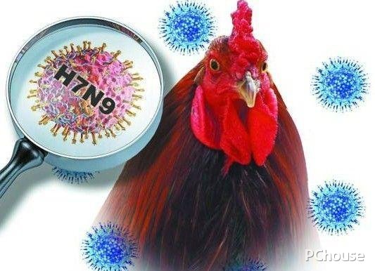 H7N9诊疗方案 h7n9的治疗方法