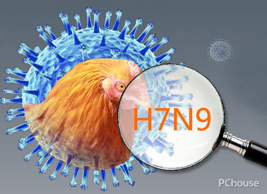 H7N9的介绍（h7n9由什么组成）