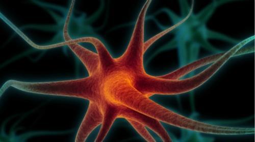 运动神经元疾病 运动神经元疾病能活多长时间