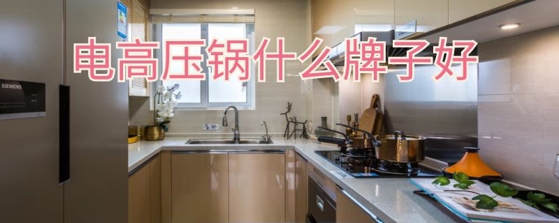 电高压锅什么牌子好 电高压锅什么牌子好用