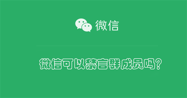 微信可以禁言群成员吗？（微信可以禁言群成员吗怎么设置）