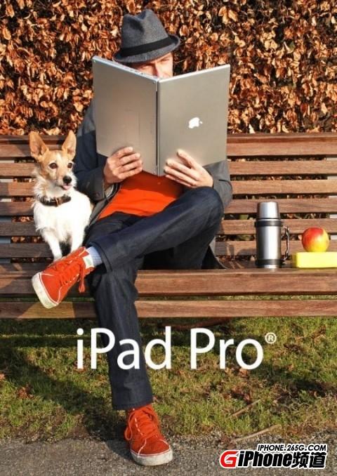 12.9寸iPad 12.9寸ipad pro长宽多少厘米