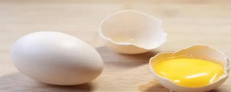 人造鸡蛋有膜吗 人造蛋有蛋膜吗