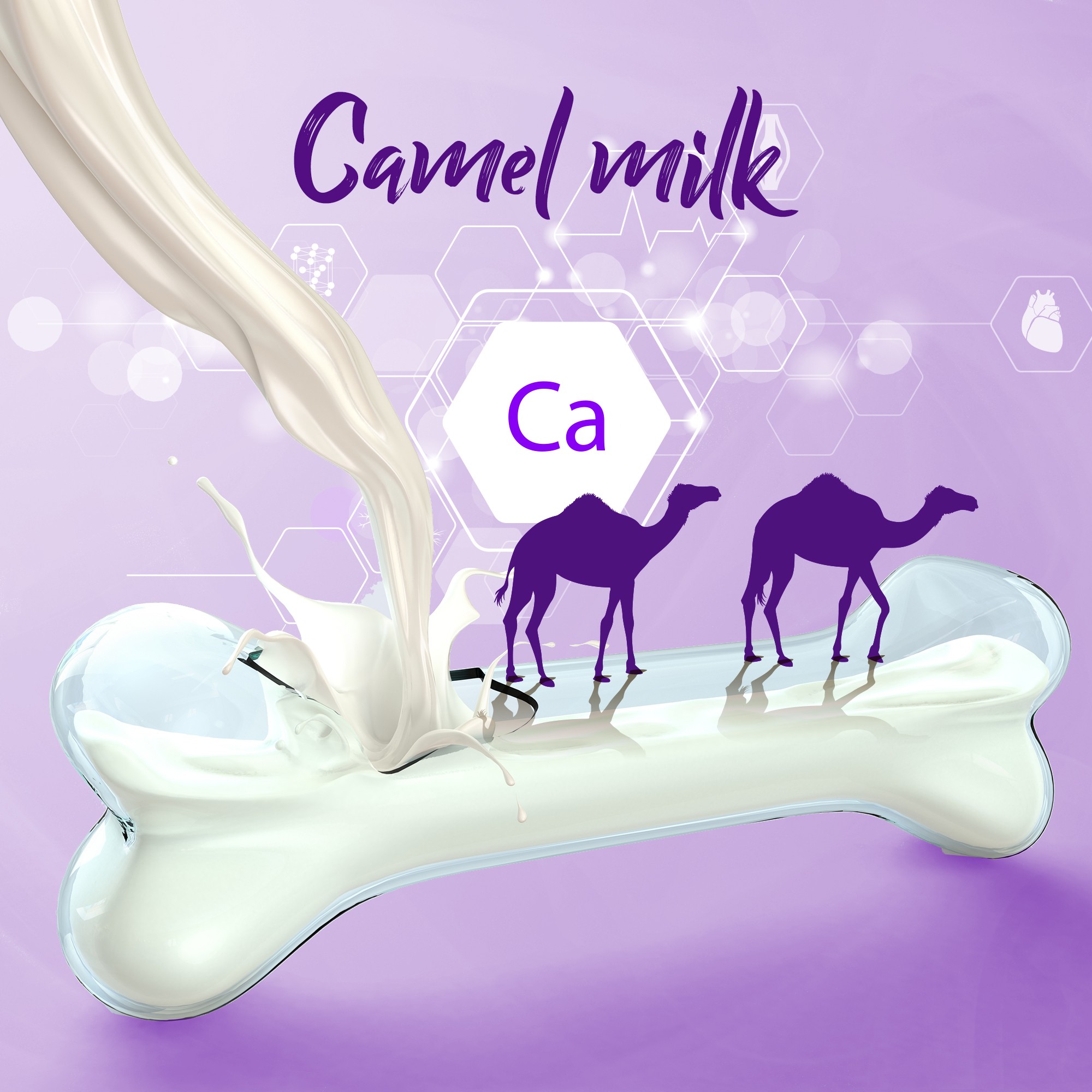 Camelicious驼奶送爸妈，健康身体每*