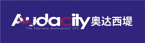 Audacity奥达西堤石晶地板*及培训会