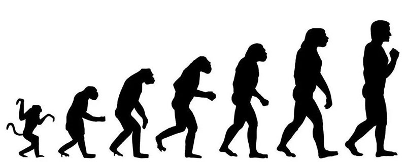 人类祖先的进化历程 人类祖先的进化历程视频