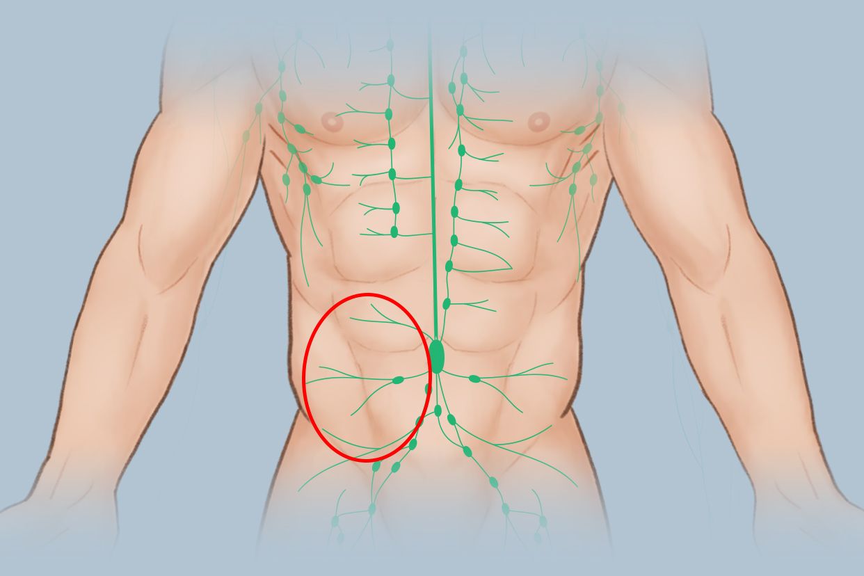 左腹部淋巴结位置图片（左腹部淋巴结位置图片女性）