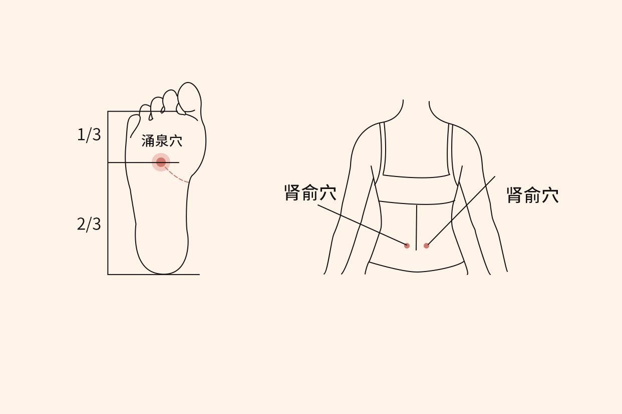 肾炎按摩哪个部位图片（肾的按摩位置图片）