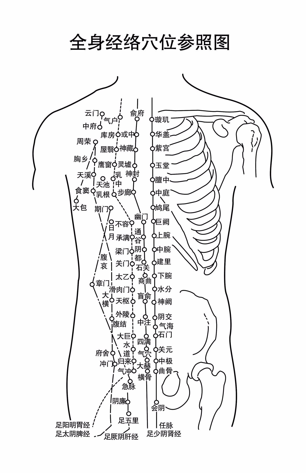 胸部筋络图 胸部六条经络图
