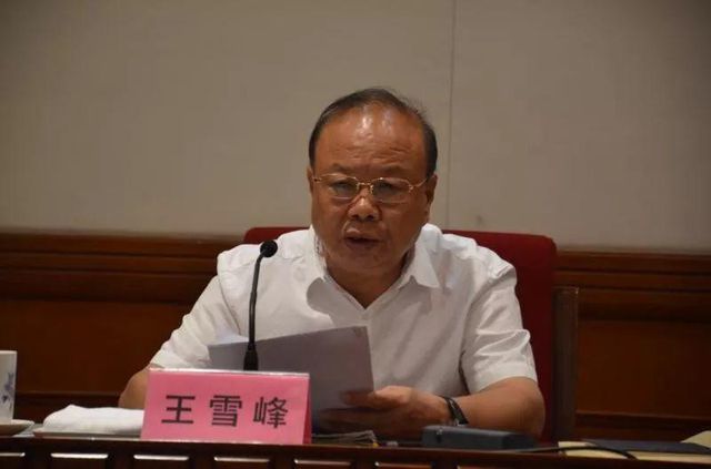 最高人民检察院依法对王雪峰决定逮捕