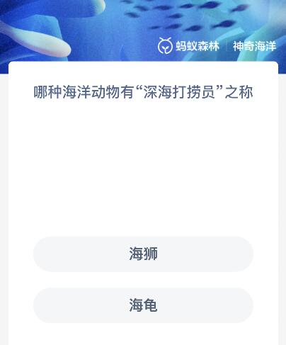 哪种海洋动物有“深海打捞员”之称（深海里什么动物）