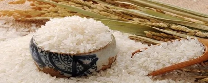 大米的保质期 大米的保质期一般是多久
