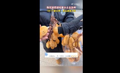 哈尔滨惊现小土豆挂件 大约15元1个 网友：处处是商机