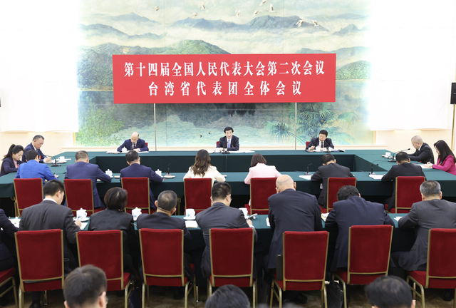 王沪宁参加台湾代表团审议
