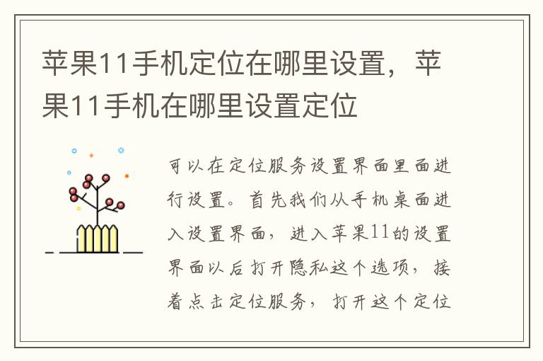 苹果11手机定位在哪里设置，苹果11手机在哪里设置定位