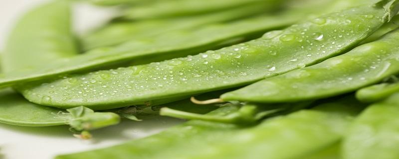 荷兰豆属于发物吗 荷兰豆的营养与价值