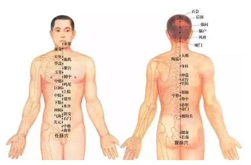 督脉的准确位置图（督脉的准确位置图片）