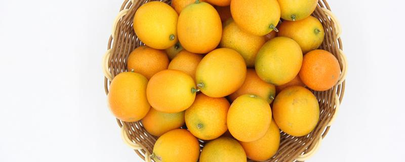 金钱橘的禁忌 金钱橘的禁忌是什么