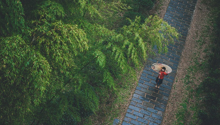 竹里馆的体裁是什么 竹里馆的体裁