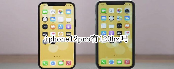 iphone12pro有120hz吗