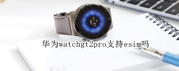 华为watchgt2pro支持esim吗