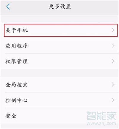 vivoz3x怎么开启开发者选项