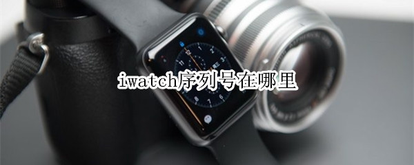 iwatch序列号在哪里