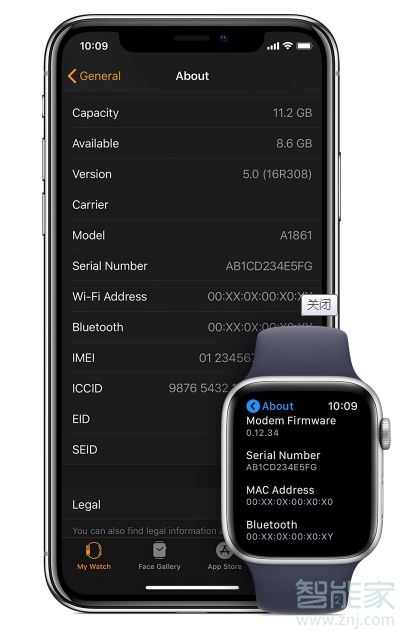 iwatch序列号在哪里