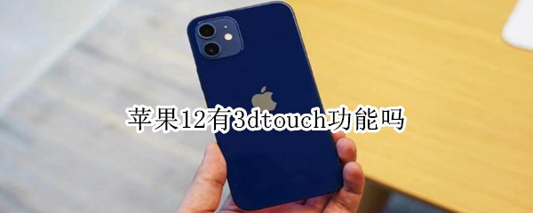 苹果12有3dtouch功能吗