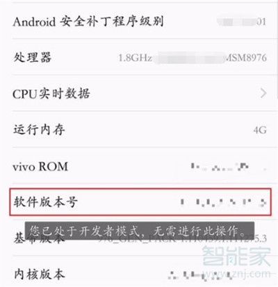 vivoz3x怎么开启开发者选项