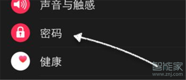 Apple Watch Series 5怎么在手机上设置密码