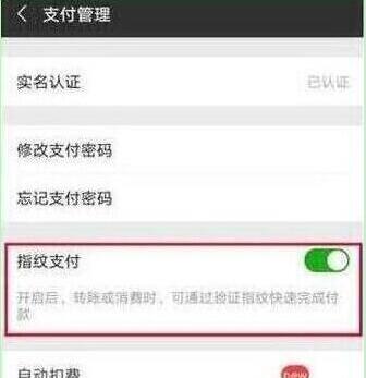 荣耀20pro怎么设置微信指纹支付