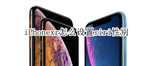 iPhonexr怎么设置siri性别