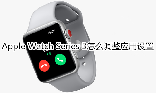 Apple Watch Series 3怎么调整应用设置