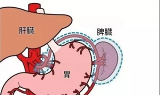 肝火旺肾虚怎么办 推荐几道小菜