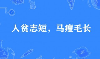 马瘦毛长是什么意思 马瘦毛长出自何处