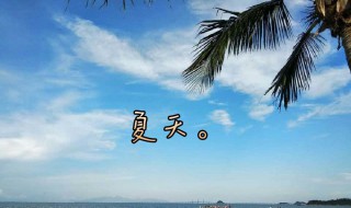 描写夏天一句话 描写夏天一句话有哪些