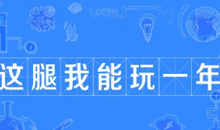 这腿我能玩一年是什么意思（腿玩年是什么意思?这腿够我玩一年是什么梗?）