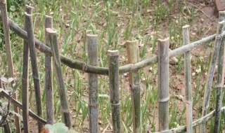 竹篱笆捆扎方法 农村竹篱笆制作方法