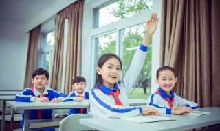 如何进行中小学校园安全教育（如何进行中小学校园安全教育培训）