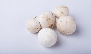 口蘑和白蘑菇的区别 口蘑与白蘑菇的区别
