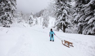 下雪孤单伤感的句子（下雪孤独的句子）