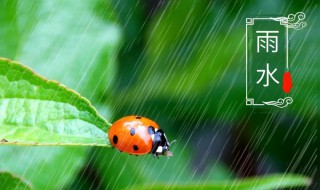 关于雨水节气的文案 关于雨水节气的文案古风