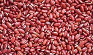 赤小豆的功效与作用及禁忌症 赤小豆的功效与作用及禁忌症的功效与作用