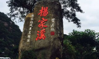 杨家溪玻璃栈道多长（杨家溪青龙玻璃栈道门票）