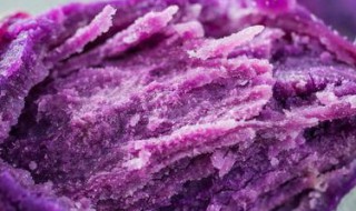 紫薯的营养价值及功效与作用（紫薯的营养价值及功效与作用禁忌）