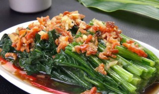 海米炝菠菜 拌菠菜海米