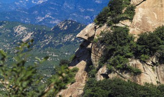 南京市海拔最高的山的哪一座 南京海拔最高的山排名