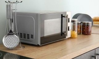 塑料饭盒可以用微波炉加热吗 普通的塑料饭盒可以用微波炉加热吗