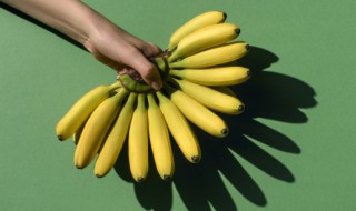 芭蕉和香蕉区别在哪 芭蕉和香蕉区别在哪里 知乎